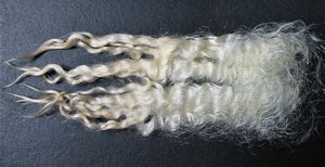 Sylvia 2023 Fleece : Sylvia 2023