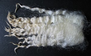 Sue 2023 Fleece : Sue 2023
