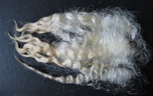 Snubby 2023 Fleece : Snubby 2023