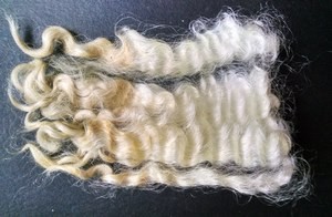 Peanut 2023 Fleece : Peanut 2023