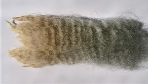 Chantilly 2023 Fleece : Chantilly 2023
