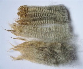 Cocoa Puff 2023 Fleece : Cocoa Puff 2023