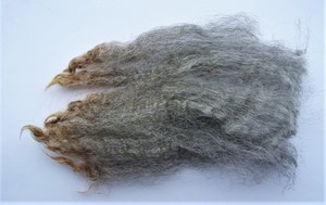 Taffy 2023 Fleece : Taffy 2023