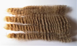 Teddy 2023 Fleece : Teddy 2023