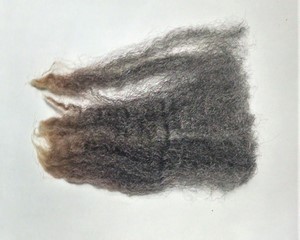 Angelica 2023 Fleece : Angelica 2023
