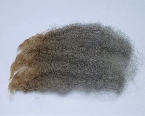 Snuggles 2023 Fleece : Snuggles 2023