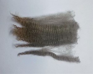 Violet 2023 Fleece : Violet 2023