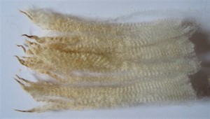 Copper 2023 Fleece : Copper 2023