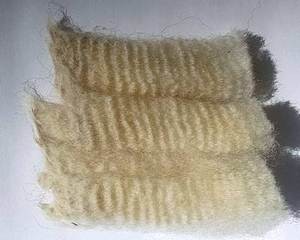 Bacardi 2023 Fleece : Bacardi 2023