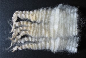 Arthur 2023 Fleece : Arthur 2023