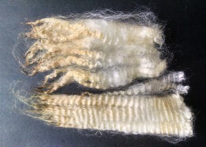 Wee Little Guy 2023 Fleece : Wee Little Guy 2023