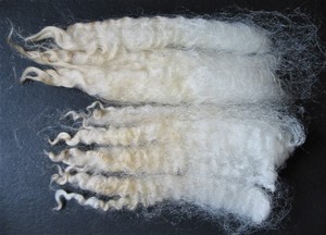 Peggy 2023 Fleece : Peggy 2023