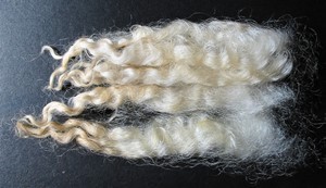 Nugget 2023 Fleece : Nugget 2023