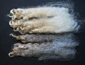 Ophelia 2023 Fleece : Ophelia 2023