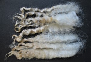 Philomena 2023 Fleece : Philomena 2023