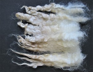 Rupert 2023 Fleece : Rupert 2023