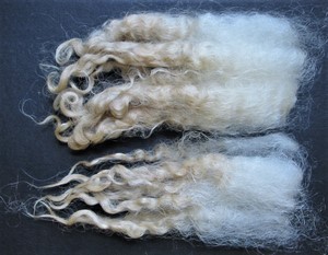 Portia 2023 Fleece : Portia 2023