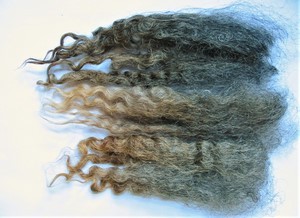 Sophie 2023 Fleece : Sophie 2023