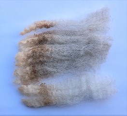 Brick 2023 Fleece : Brick 2023