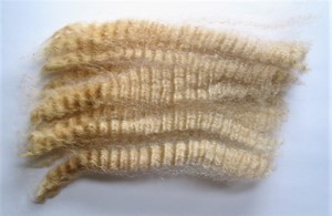 Freddy 2023 Fleece : Freddy 2023