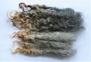 Poppy 2023 Fleece : Poppy 2023