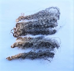 Madeline 2023 Fleece : Madeline 2023