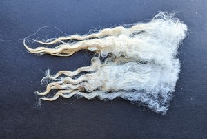 Matilda 2023 Fleece : Matilda 2023