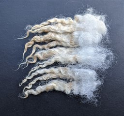 Olivia 2023 Fleece : Olivia 2023