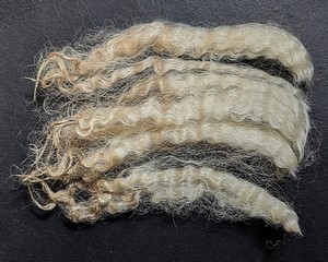 Petunia 2026 Fleece : Petunia 2026