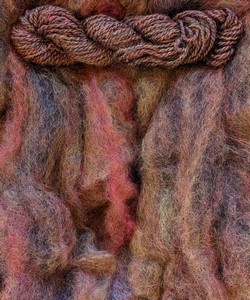 Roving : Log Cabin