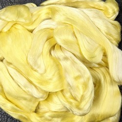 Daffodil silk : Daffodil